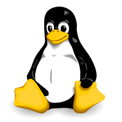 Comprendre le cache des fichiers sous Linux
